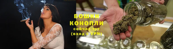 индика Бугульма